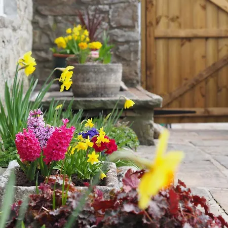 Holiday home 3 Bed In Oc-ds1049 Askrigg